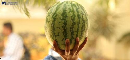 娱乐圈吃瓜2021,吃瓜群众的热议焦点回顾