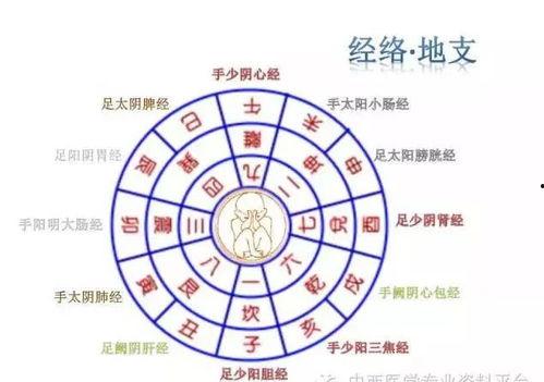 八卦口针