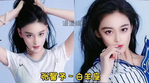 明星是双子座的,揭秘双子的魅力与风采